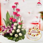 Welcome Christmas Combo